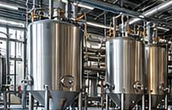 Stainless process vessels inside a food production facility