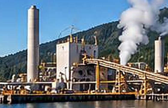 Coastal pulp mill with process stacks and steam